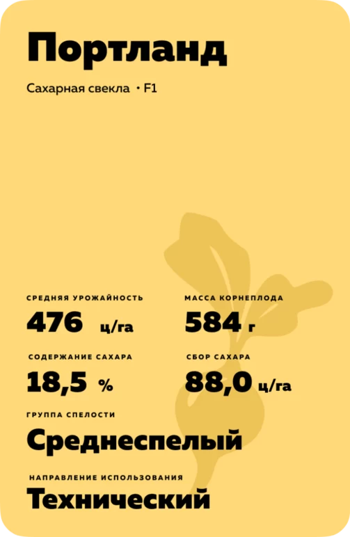 Портланд