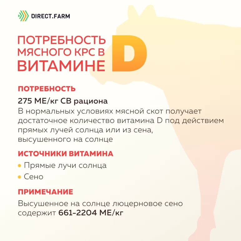 Потребность мясного скота в витамине D