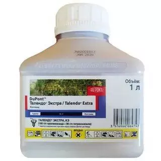 Талендо Экстра, КЭ