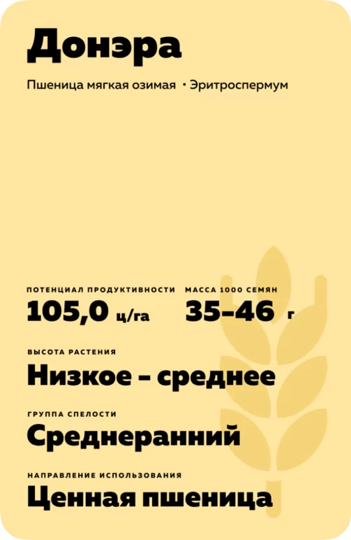 Донэра сорт озимой пшеницы