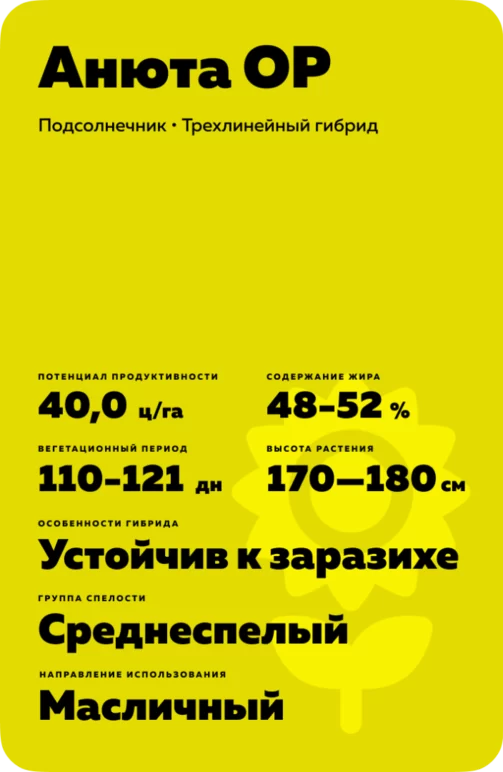 Анюта ОР гибрид подсолнечника