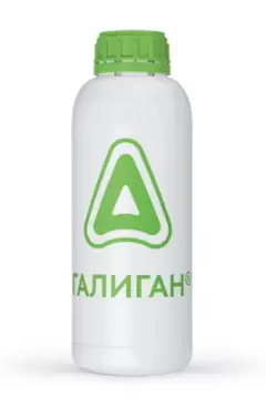 Галиган, КЭ