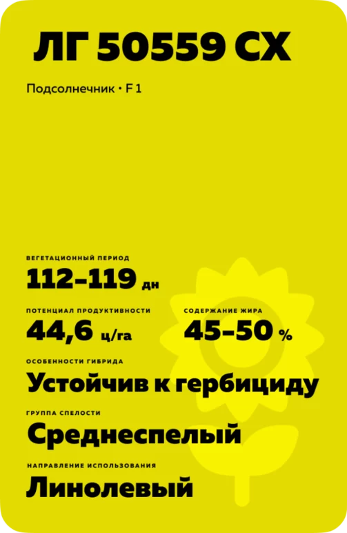 ЛГ 50559 СХ (LG 50559 SX) подсолнечник