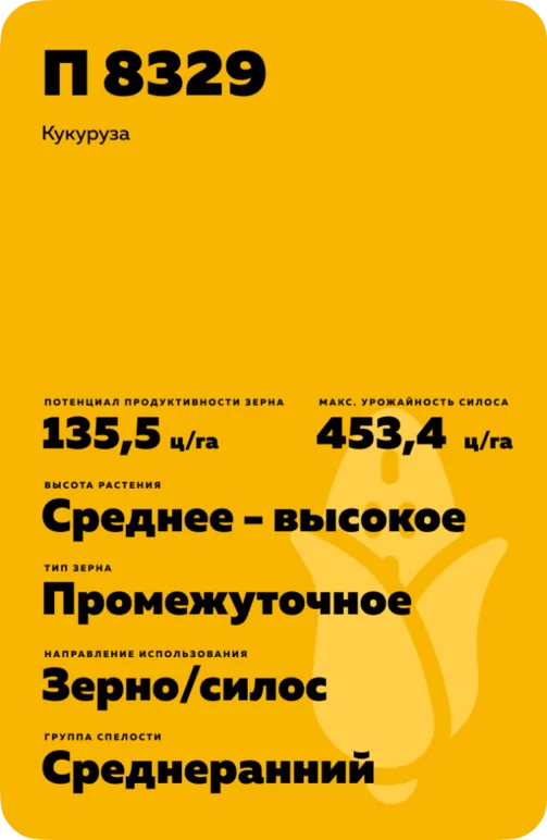 П 8329 гибрид кукурузы