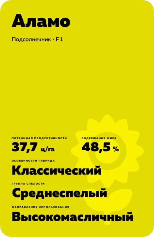 Аламо