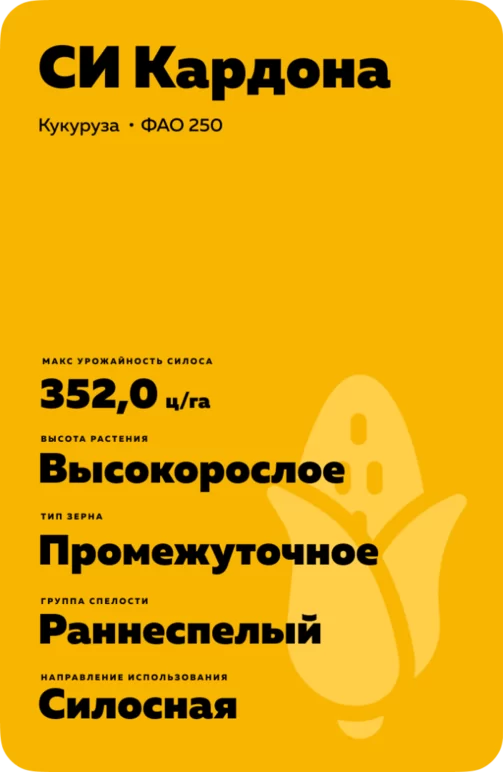 СИ Кардона (SY KARDONA)