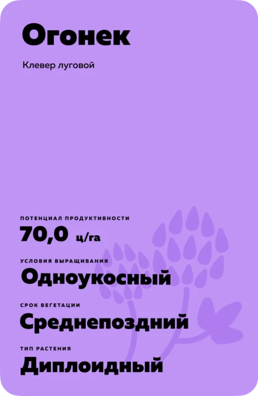 Огонек
