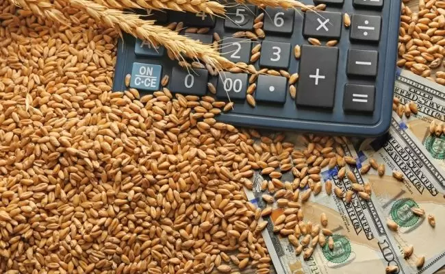 Экспортная пошлина на пшеницу из РФ с 20 июля снова повысится