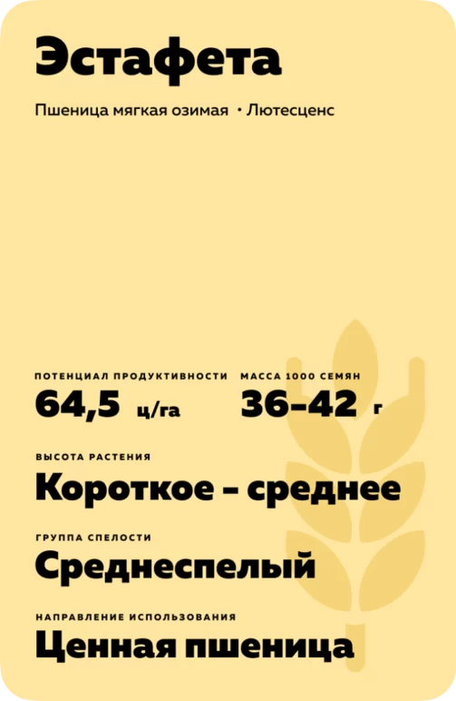 Эстафета