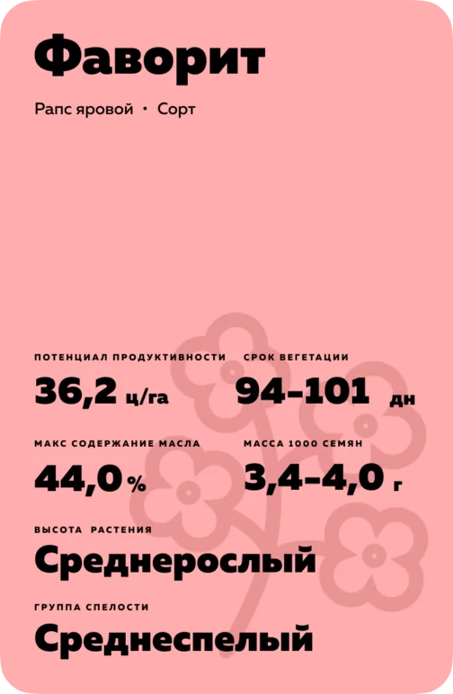 Фаворит ® сорт рапса ярового