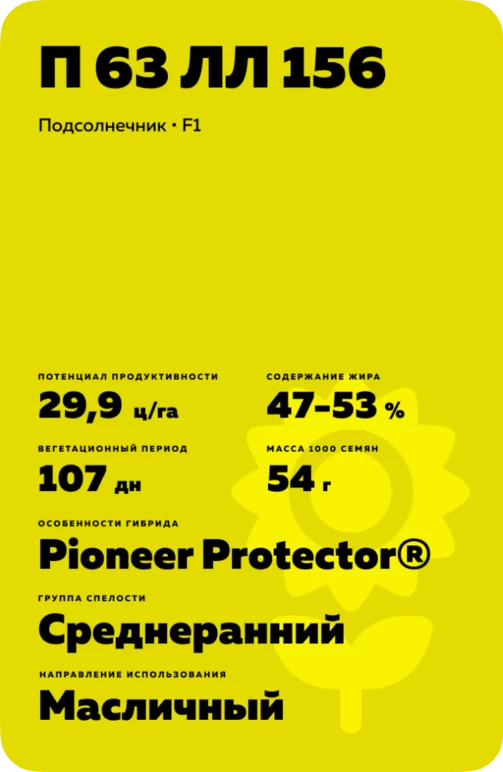 П 63 ЛЛ 156 (P 63 LL 156) - гибрид подсолнечника Пионер