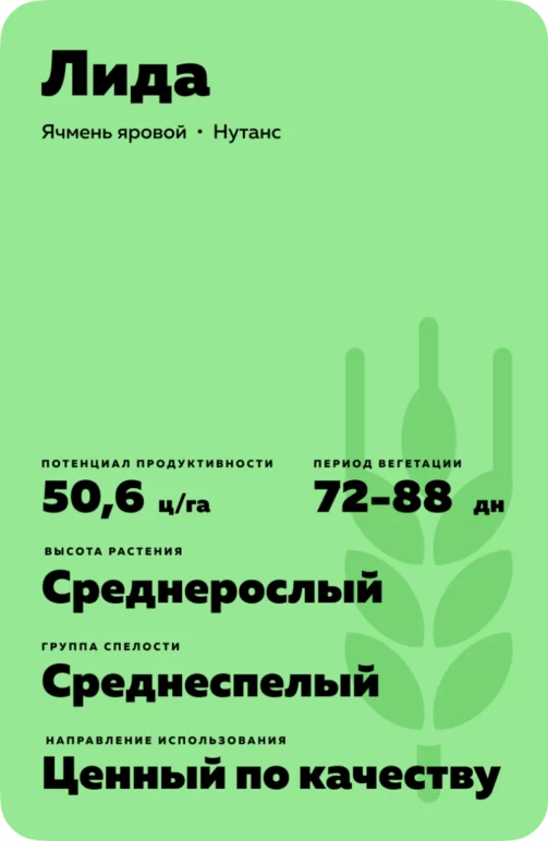 Лида сорт ярового ячменя
