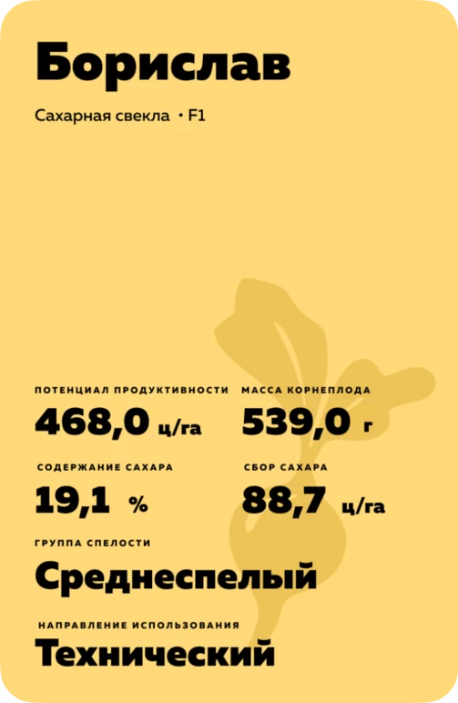 Борислав - гибрид свеклы сахарной Штрубе Рус