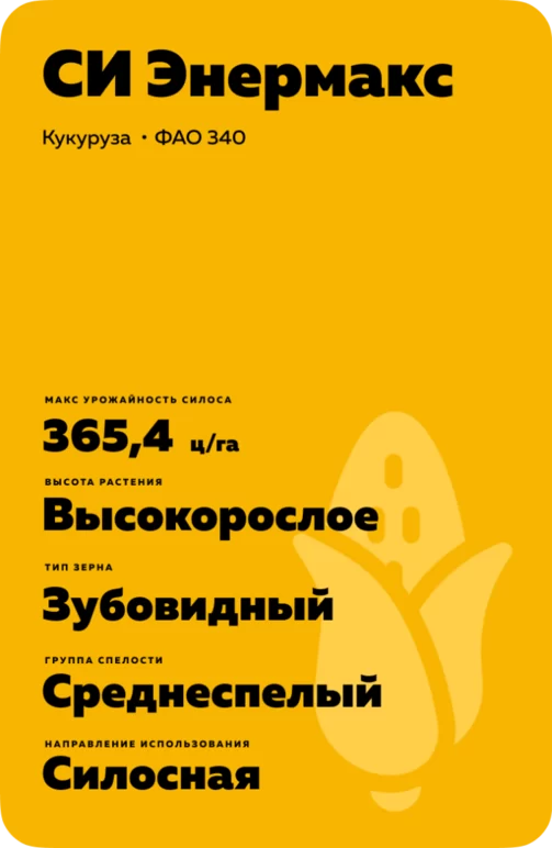 СИ Энермакс - гибрид кукурузы ( Zea mays L.).