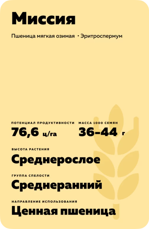 Миссия сорт озимой пшеницы
