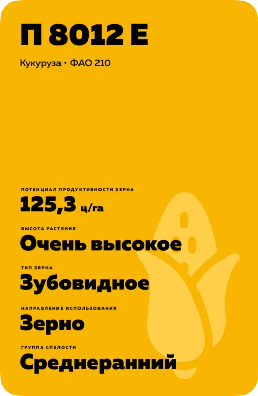 П 8012 Е - гибрид кукурузы Пионер