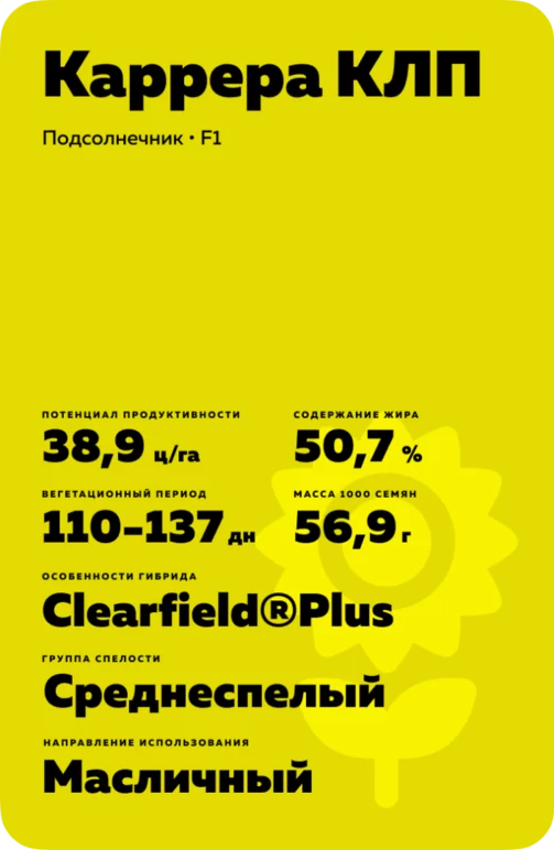 Каррера КЛП (CARERRA CLP)