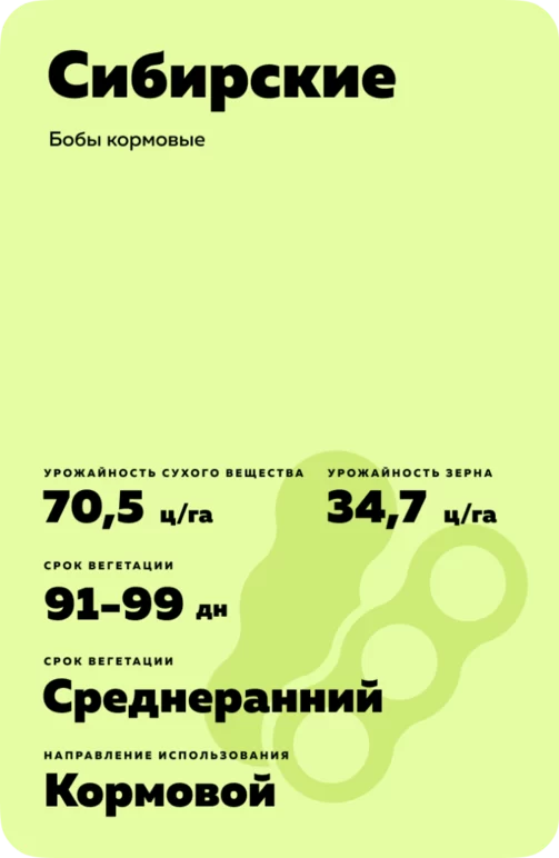 Сибирские
