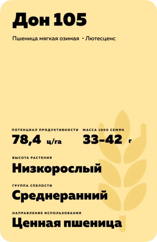 Дон 105 сорт мягкой озимой пшеницы