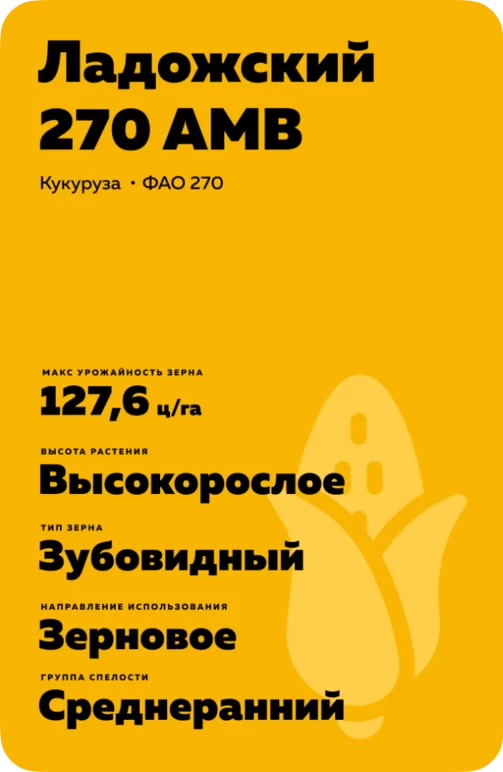 Ладожский 270 АМВ