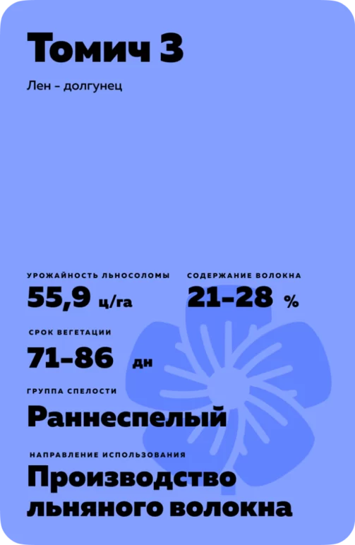 Томич 3