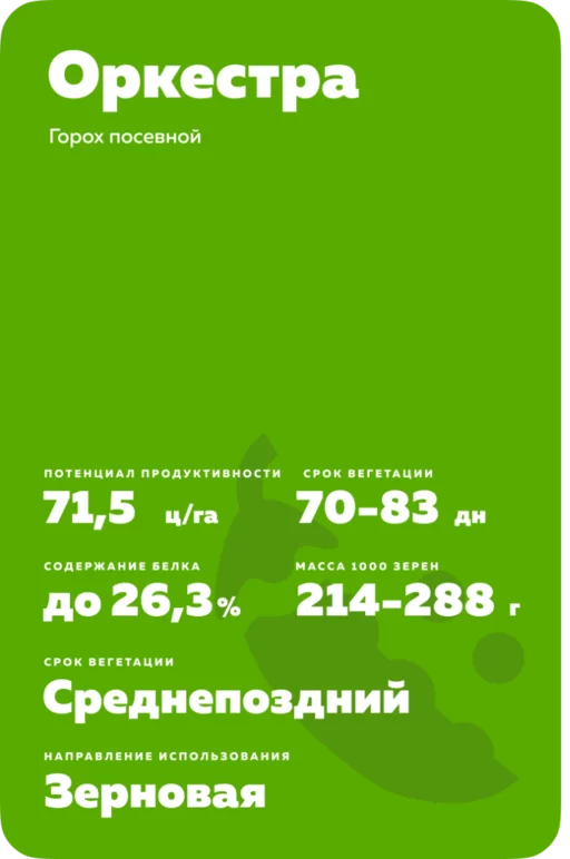 ОРКЕСТРА ® - сорт гороха посевного (Pisum sativum L.).