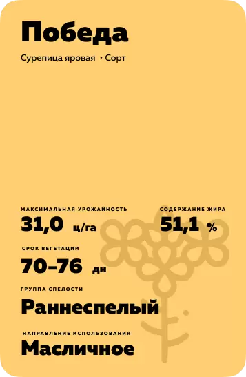 Победа