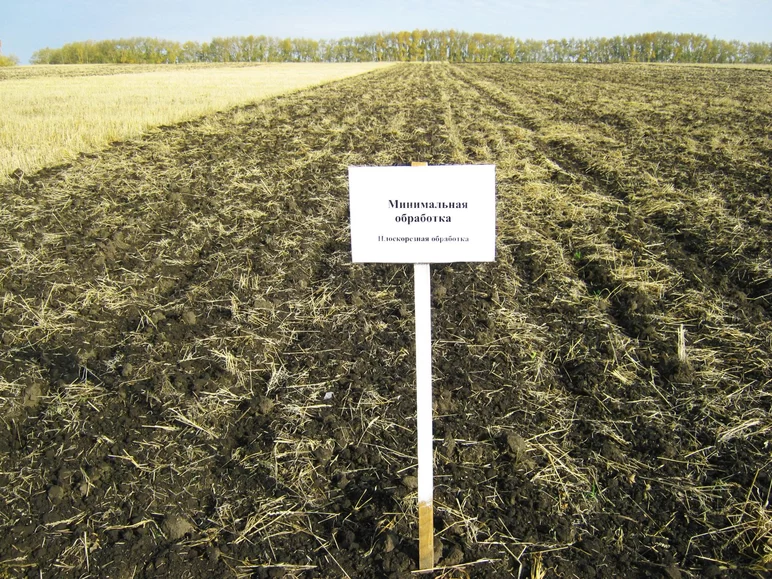 равнение способов зяблевой обработки почвы под зерновые культуры в Западной Сибири