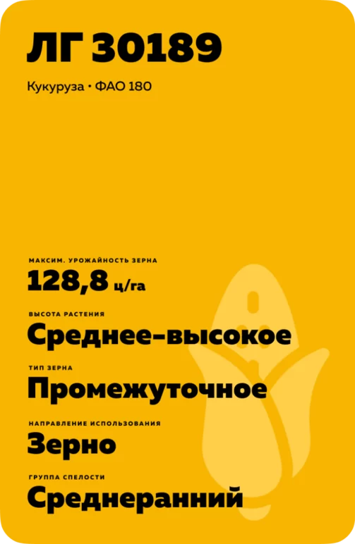 ЛГ 30189 гибрид кукурузы Лимагрейн