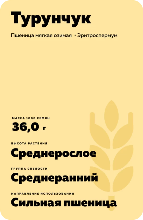 Турунчук