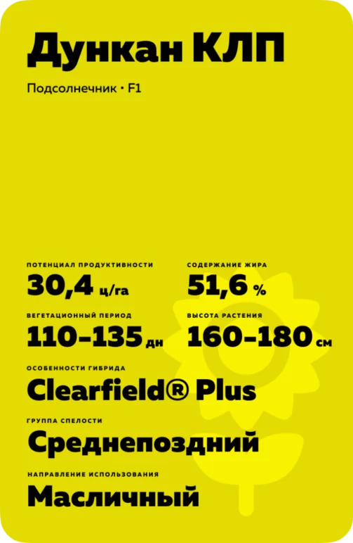 Дункан КЛП гибрид подсолнечника