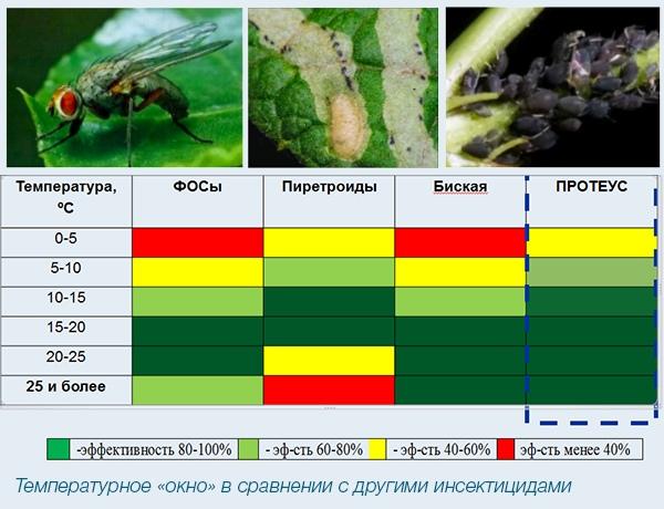 При какой температуре работает инсектицид. Температурный режим для обработки инсектицидами. Температура работы инсектицидов. Таблица инсектицидов. Температурный порог инсектицидов.
