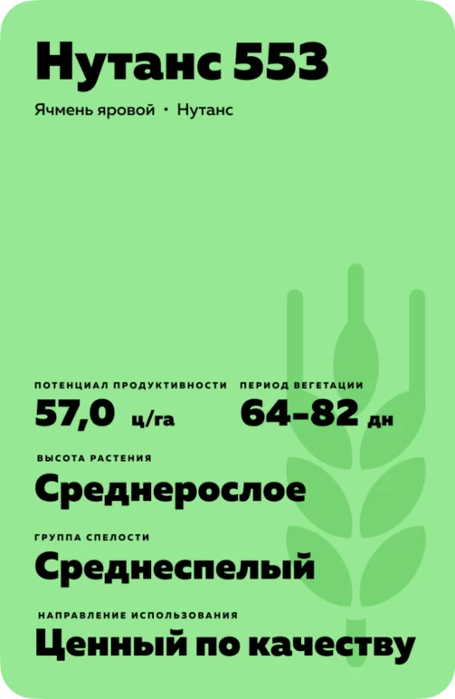 Нутанс 553 сорт ярового ячменя