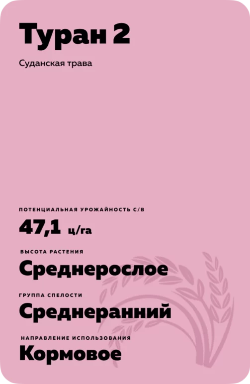 Туран 2