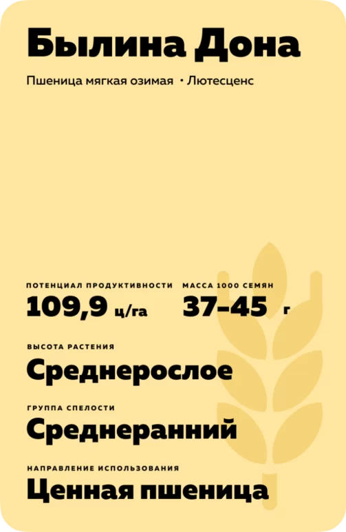 Былина Дона сорт пшеницы мягкой озимой