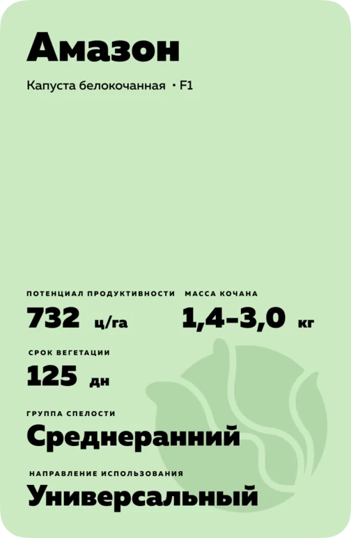 Амазон гибрид капусты белокочанной