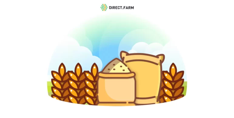 Сорта яровой пшеницы селекции ФАНЦ Юго-Востока