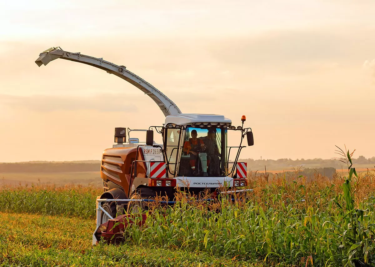 Агро Скаут. город Москва. В Direct.Farm с 15.07.2019.