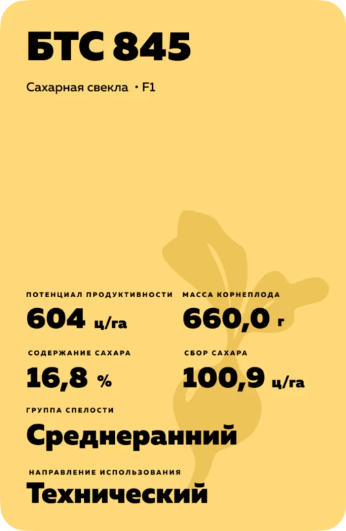 БТС 845 (BTS 845) сахарная свекла
