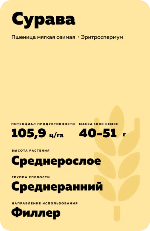 Сурава