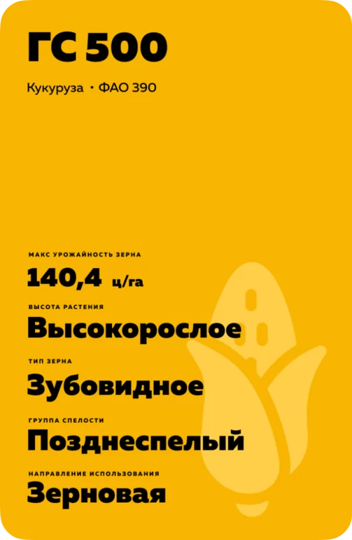 ГС 500 - гибрид кукурузы ( Zea mays L.).