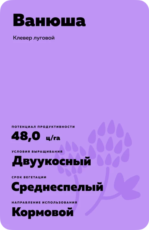 Ванюша