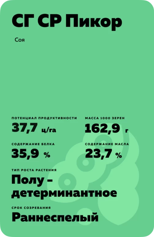 СГ СР Пикор