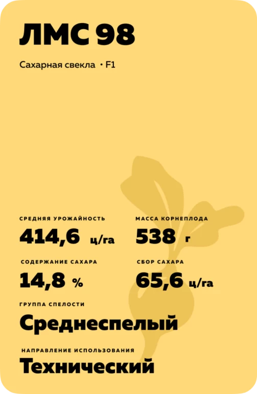 ЛМС 98 гибрид сахарной свеклы