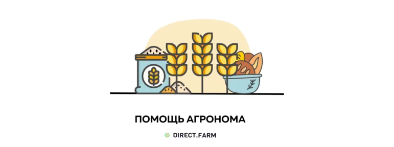 Агрономическая помощь бесплатно для всех в Direct.Farm