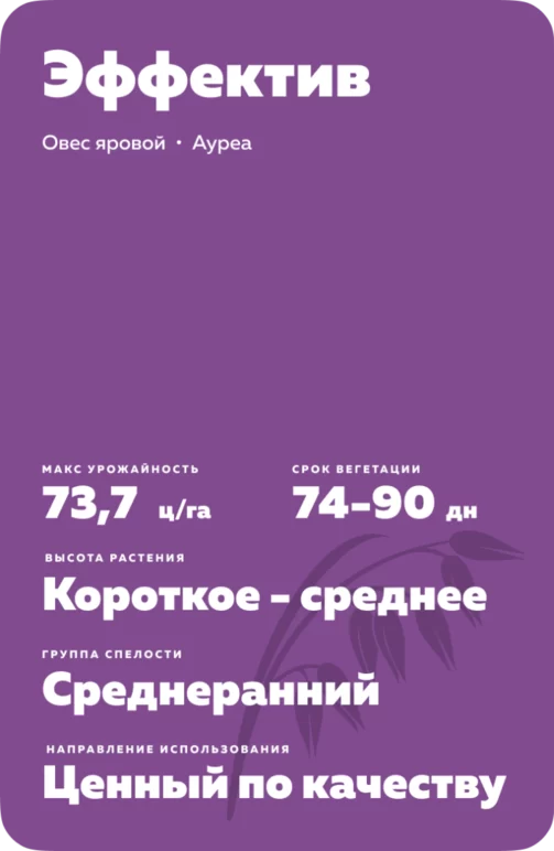 Эффектив (EFFEKTIV) сорт овса ярового