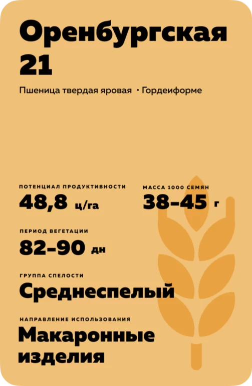 Оренбургская 21