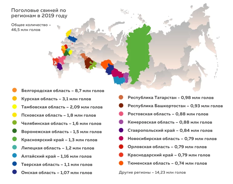 Поголовье свиней по регионам России в 2019 году