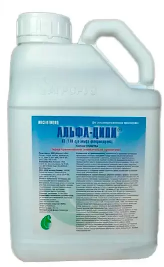 Альфа-Ципи, КЭ