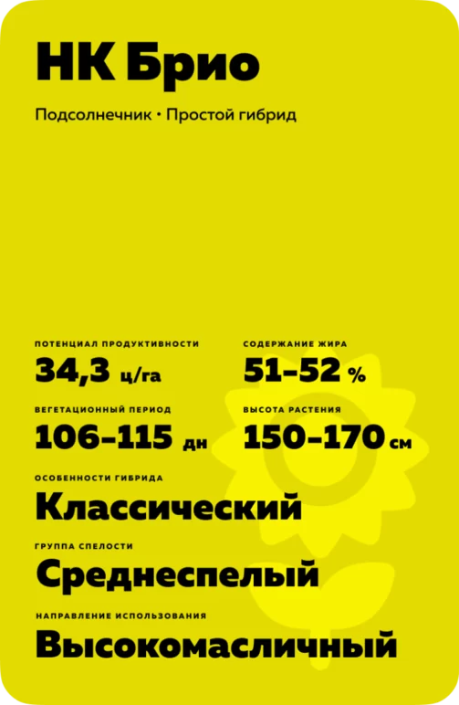 НК Брио гибрид подсолнечника